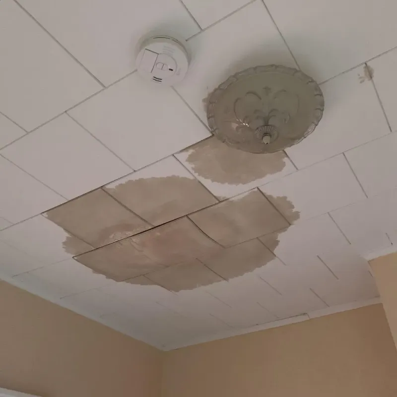 Ceiling Water Damage Repair in Towns County, GA